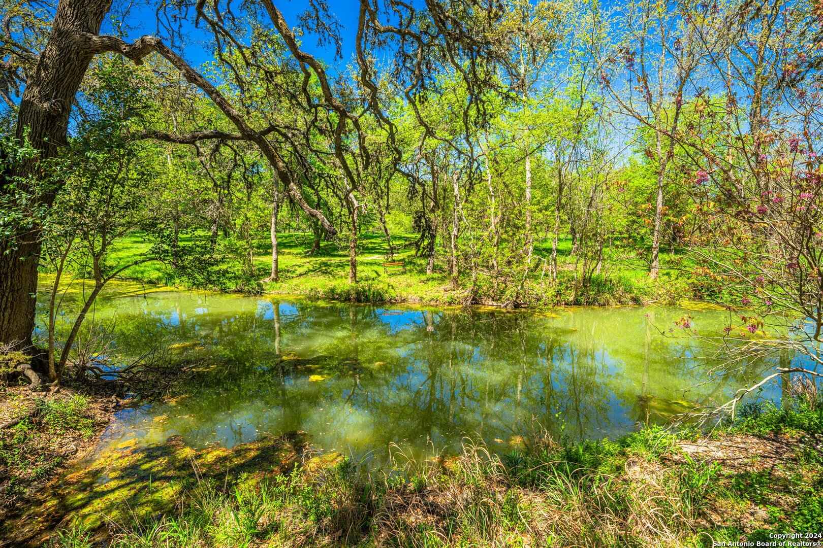 Photo 21 of 39 of 29300 BOERNE STAGE land