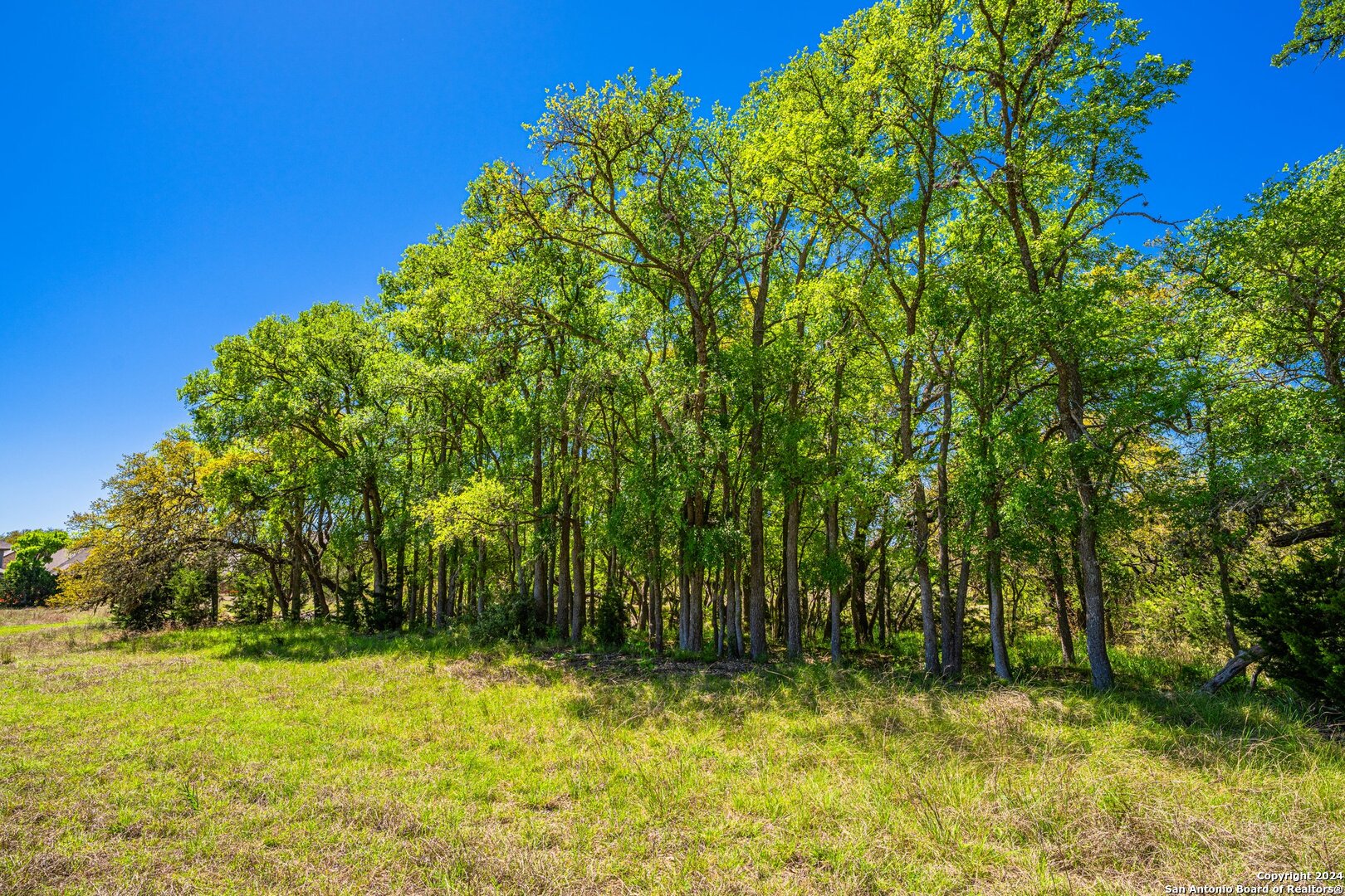 Photo 23 of 39 of 29300 BOERNE STAGE land