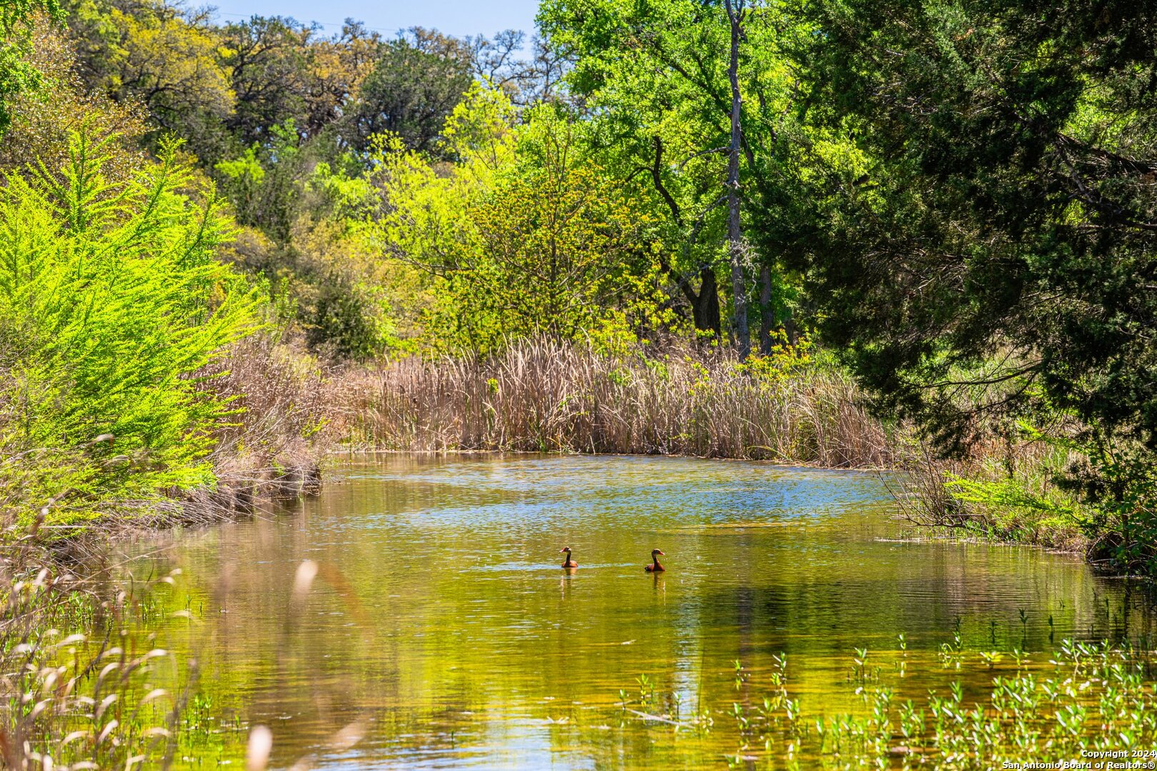 Photo 28 of 39 of 29300 BOERNE STAGE land