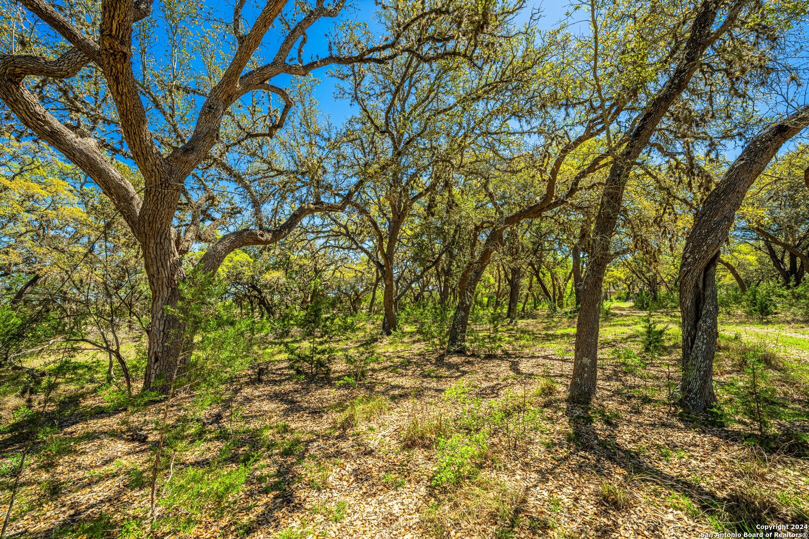 Photo 29 of 39 of 29300 BOERNE STAGE land