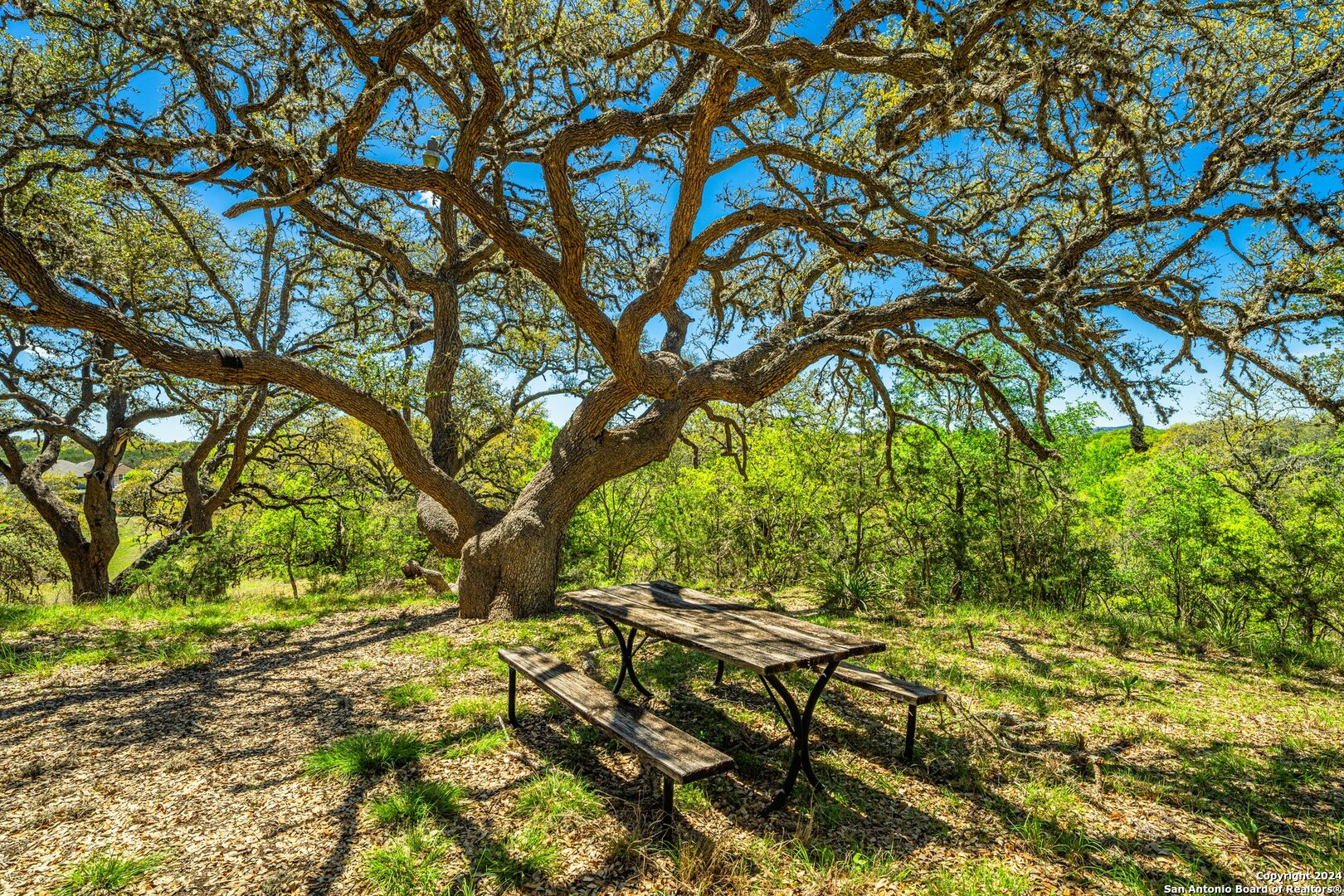 Photo 31 of 39 of 29300 BOERNE STAGE land