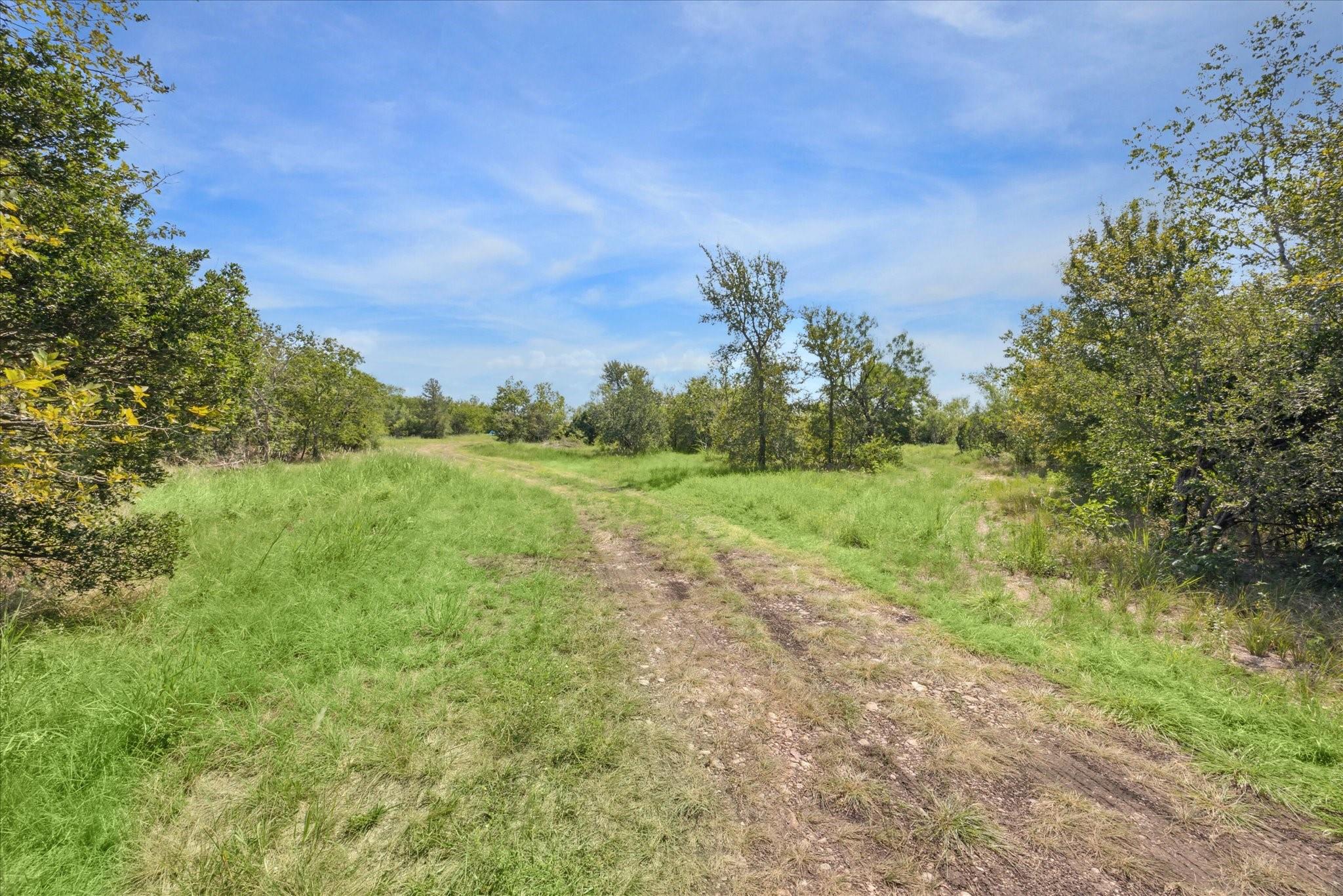 Photo 8 of 35 of 12545 Glass RD land