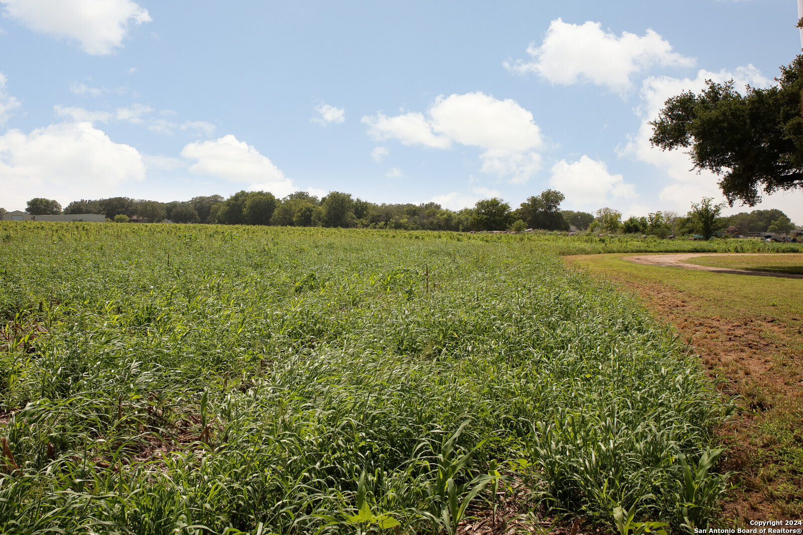 Photo 47 of 49 of 4901 lower seguin land