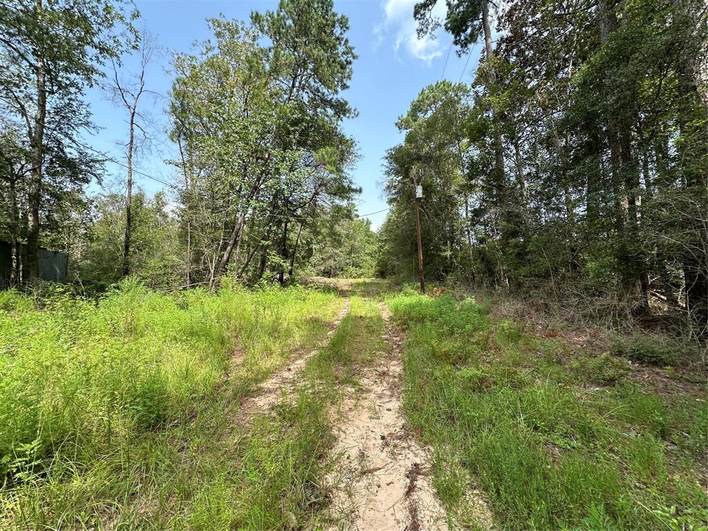 Photo 9 of 14 of 0 Dogwood Drive land