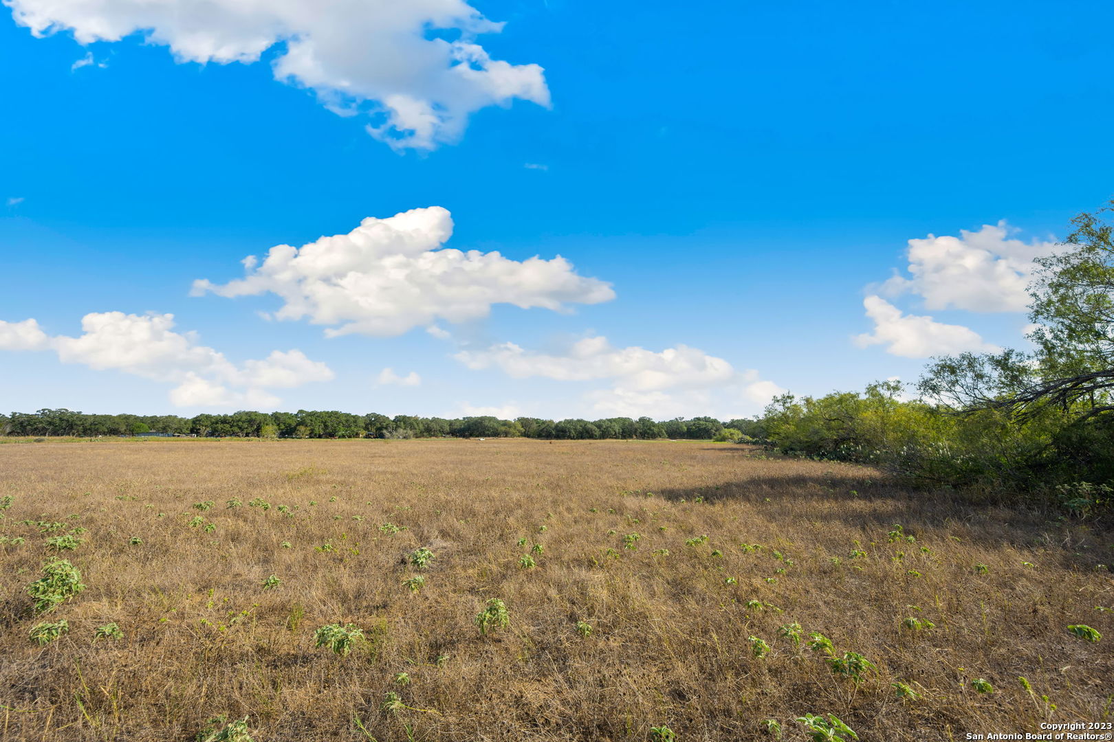 Photo 8 of 18 of 4401 HARDY RD land