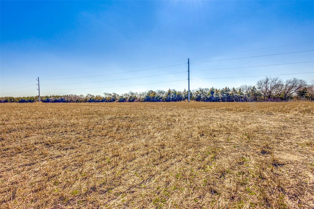 Photo 3 of 13 of TBD County Road 597 land