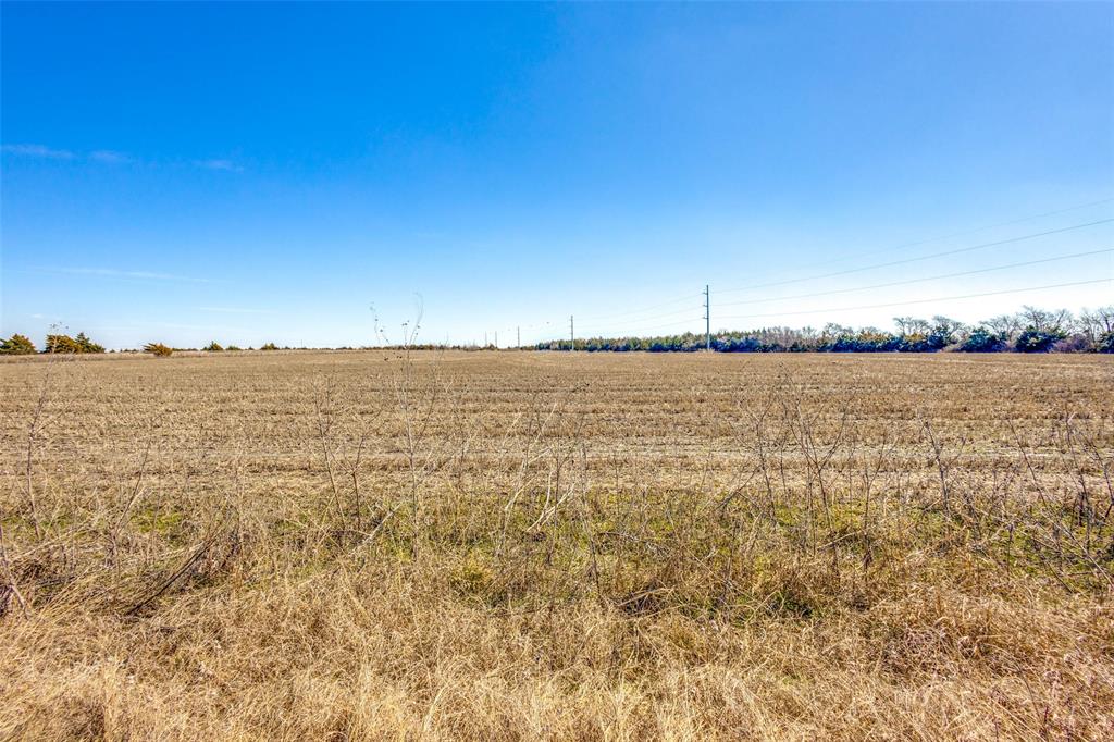 Photo 6 of 13 of TBD County Road 597 land