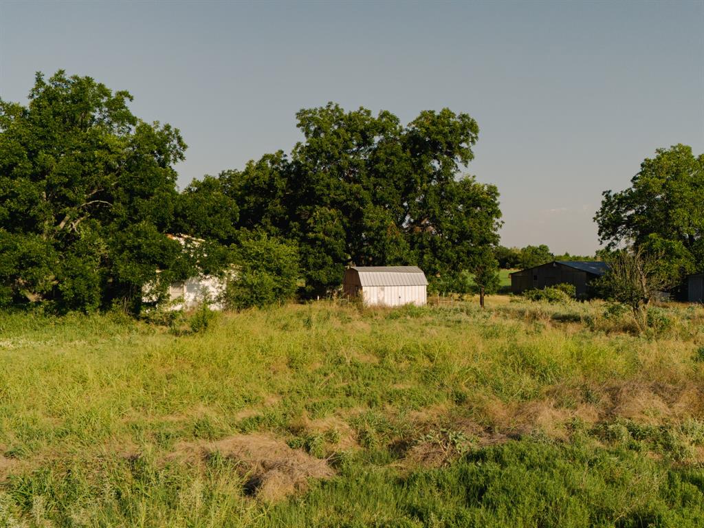 Photo 5 of 37 of 117 Bluebonnett house