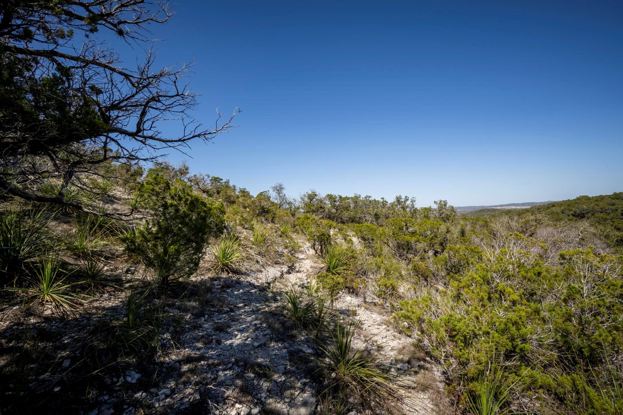 Photo 8 of 11 of 29035 Verde Mountain TRL land