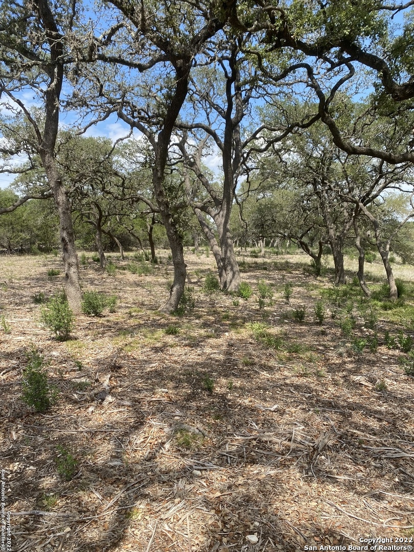 Photo 6 of 14 of 24510 Paraiso Ridge land