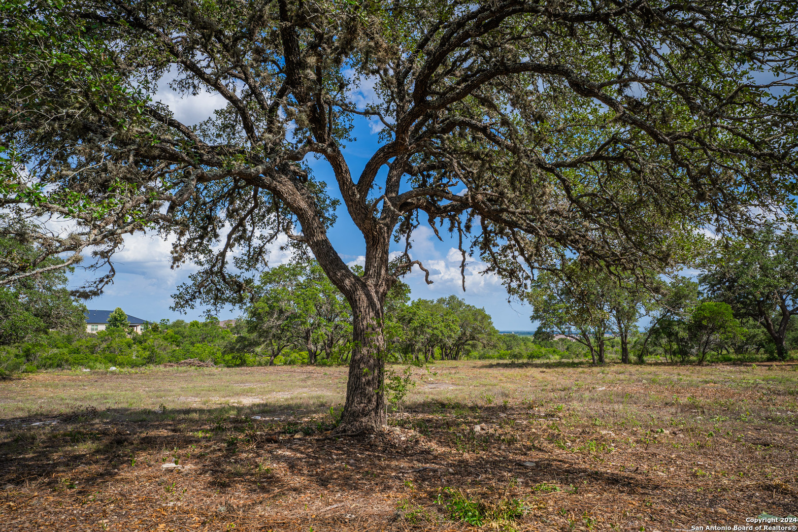 Photo 5 of 42 of 13402 LUCAS CIR land