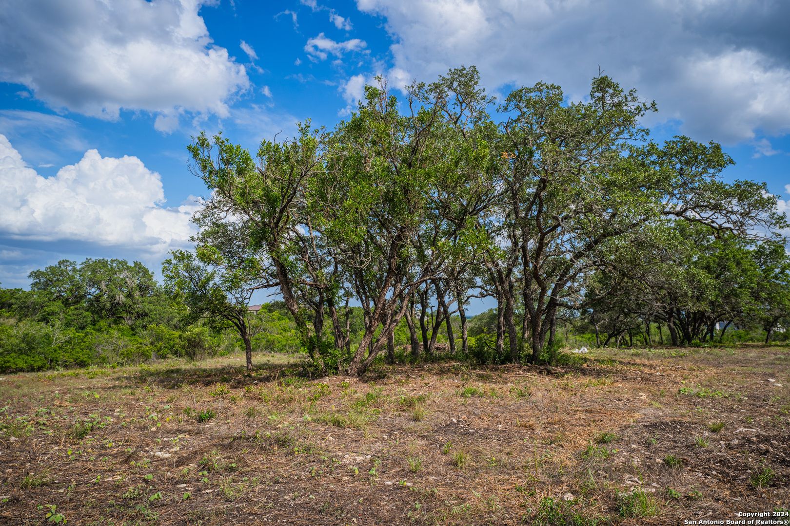 Photo 6 of 42 of 13402 LUCAS CIR land