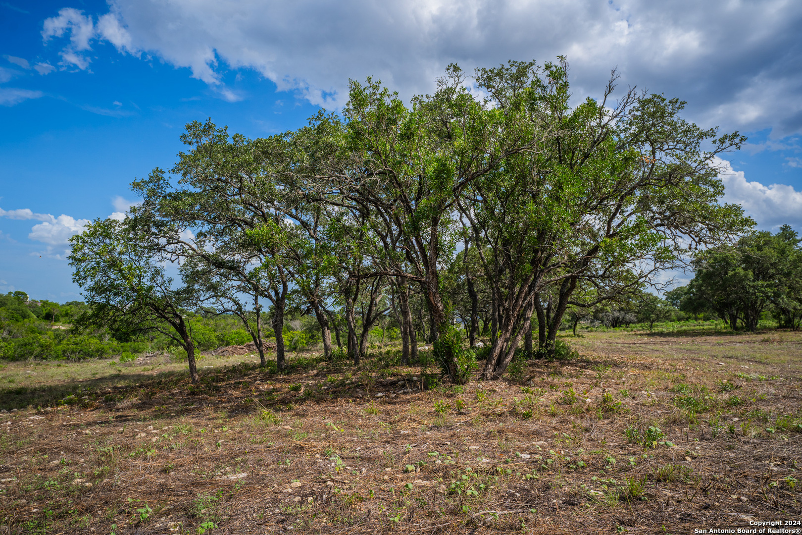 Photo 7 of 42 of 13402 LUCAS CIR land