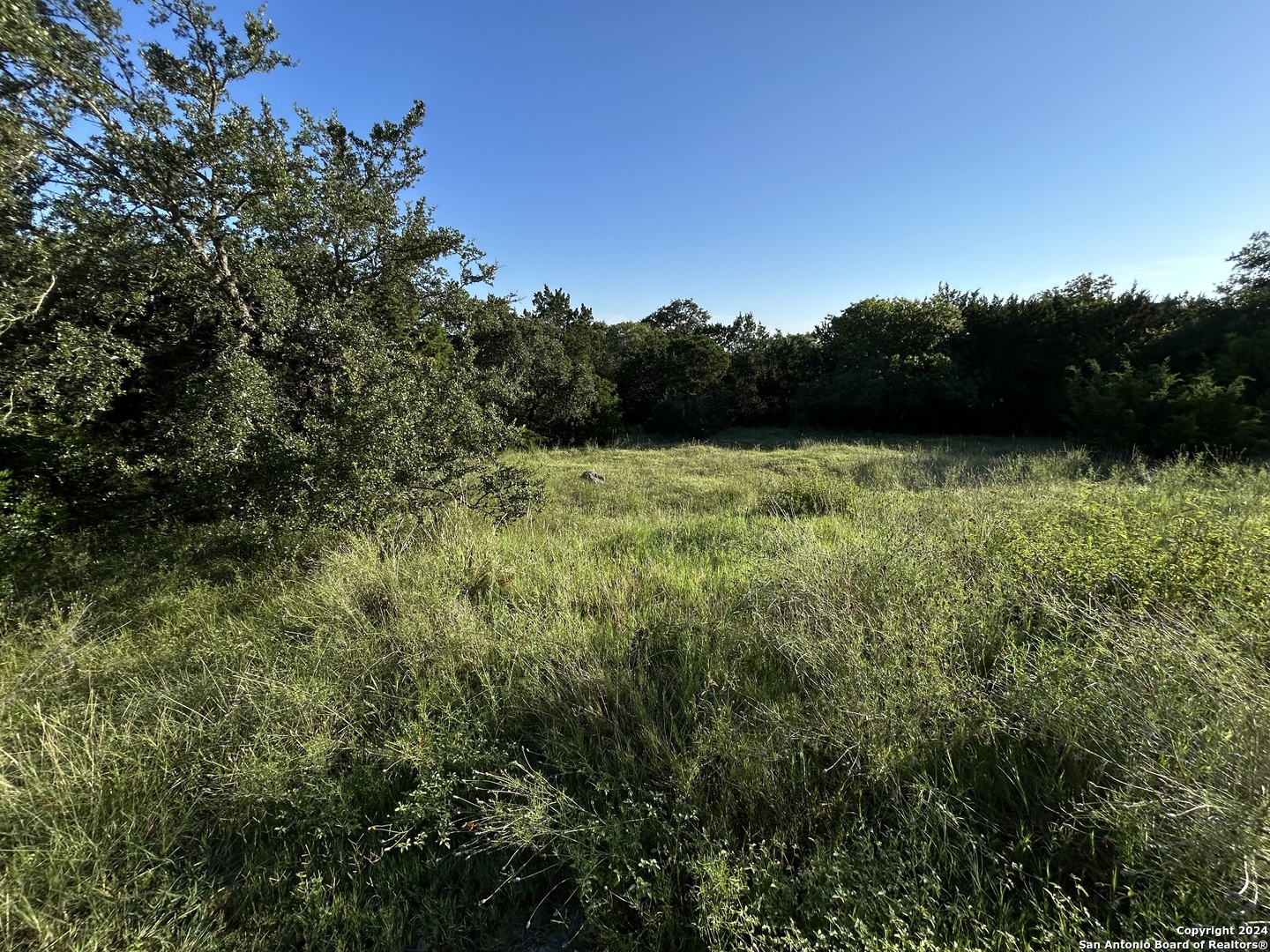 Photo 3 of 4 of 24010 Verde River land