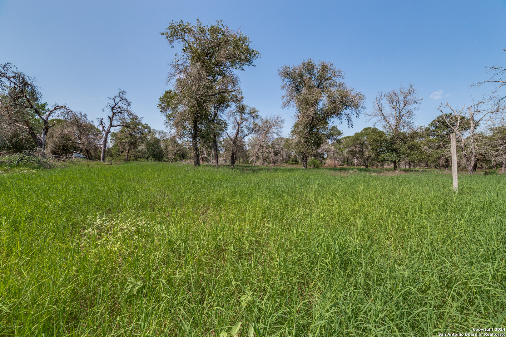 Photo 22 of 30 of 22445 TRUMBO RD land