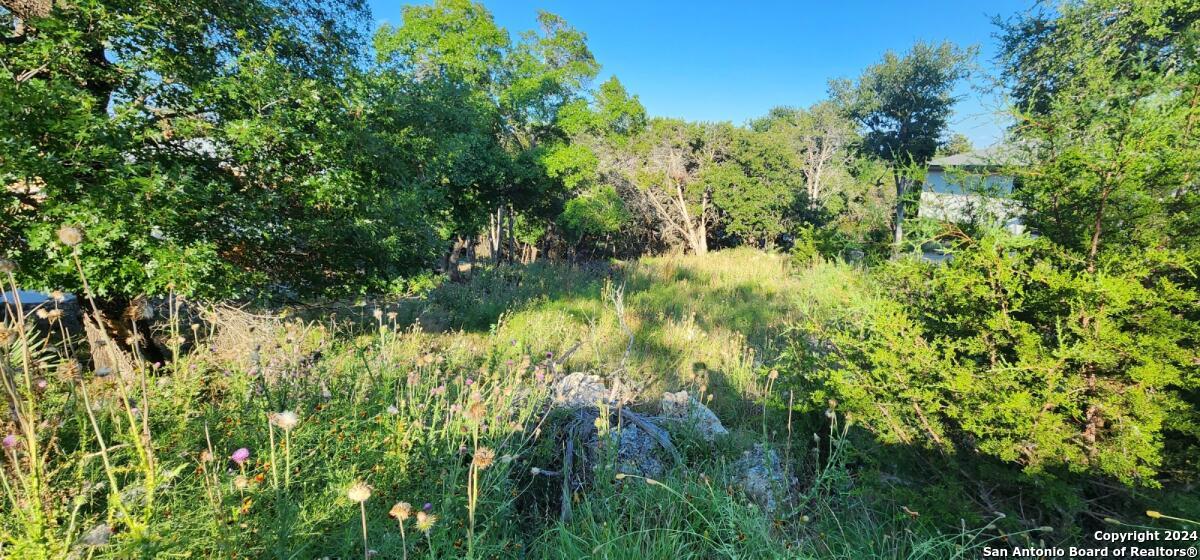 Photo 3 of 4 of 1697 winding creek land