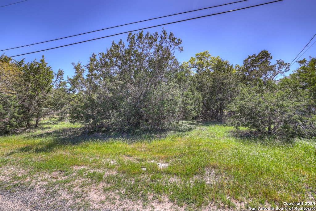 Photo 4 of 19 of 1648 Cypress Gardens Blvd land