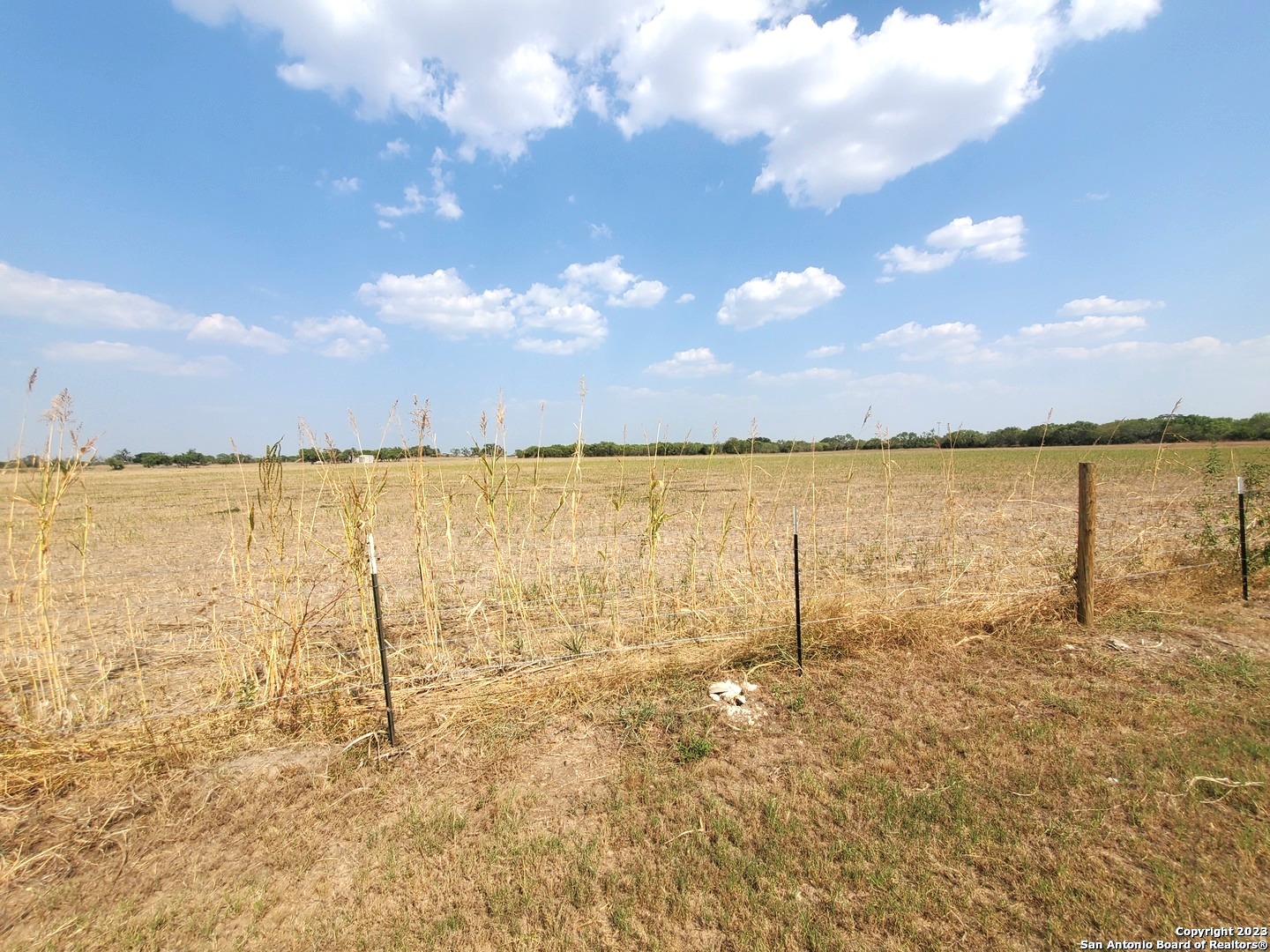 Photo 6 of 13 of 18996 FRANK HOFFMAN RD land