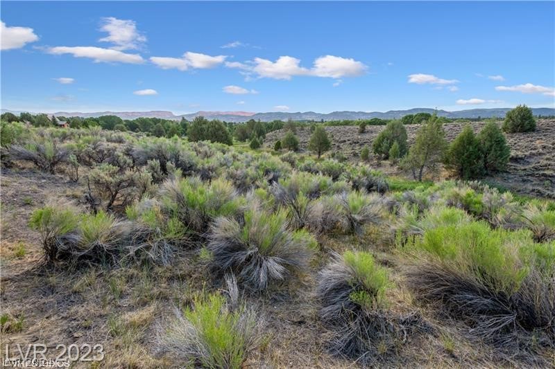 Photo 10 of 14 of 563 S Old US Hwy 89 land