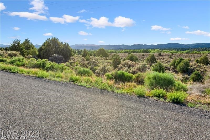 Photo 6 of 14 of 563 S Old US Hwy 89 land