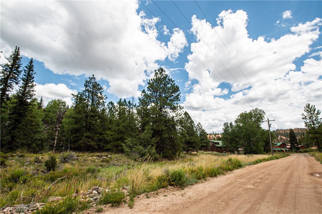 Photo 4 of 24 of 1009 E Ponderosa Road land