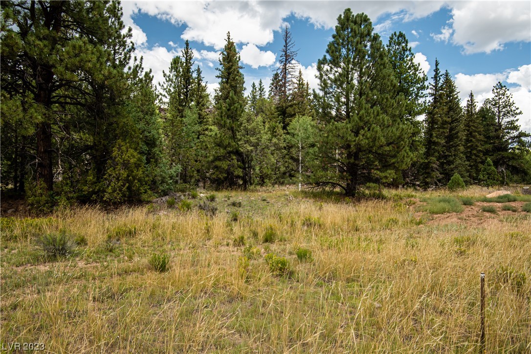 Photo 5 of 24 of 1009 E Ponderosa Road land