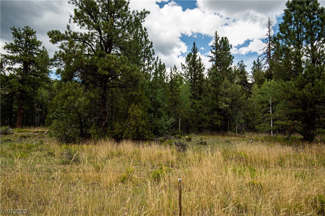 Photo 6 of 24 of 1009 E Ponderosa Road land