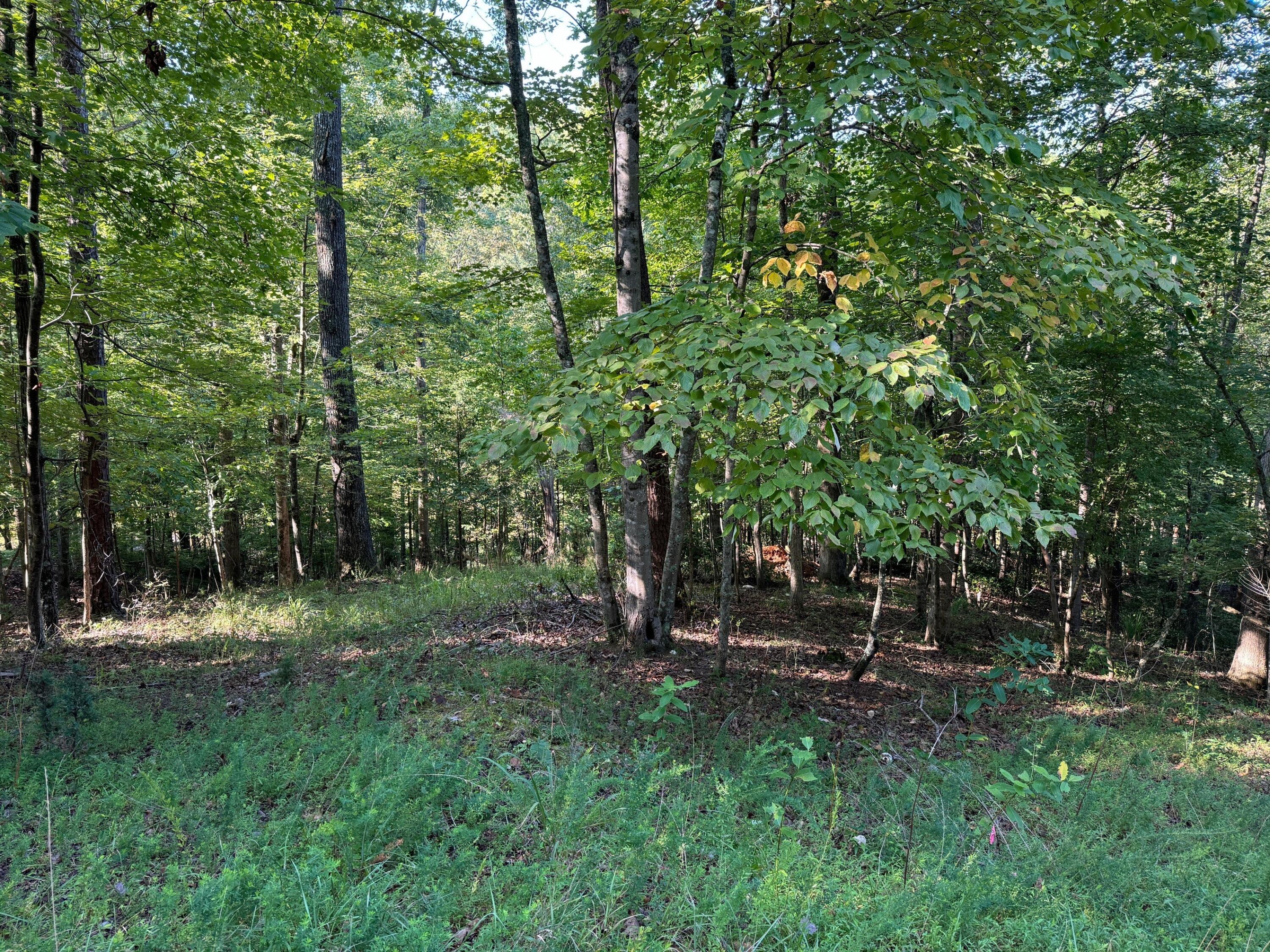 Photo 6 of 6 of 0 Cedar Bluff LN house