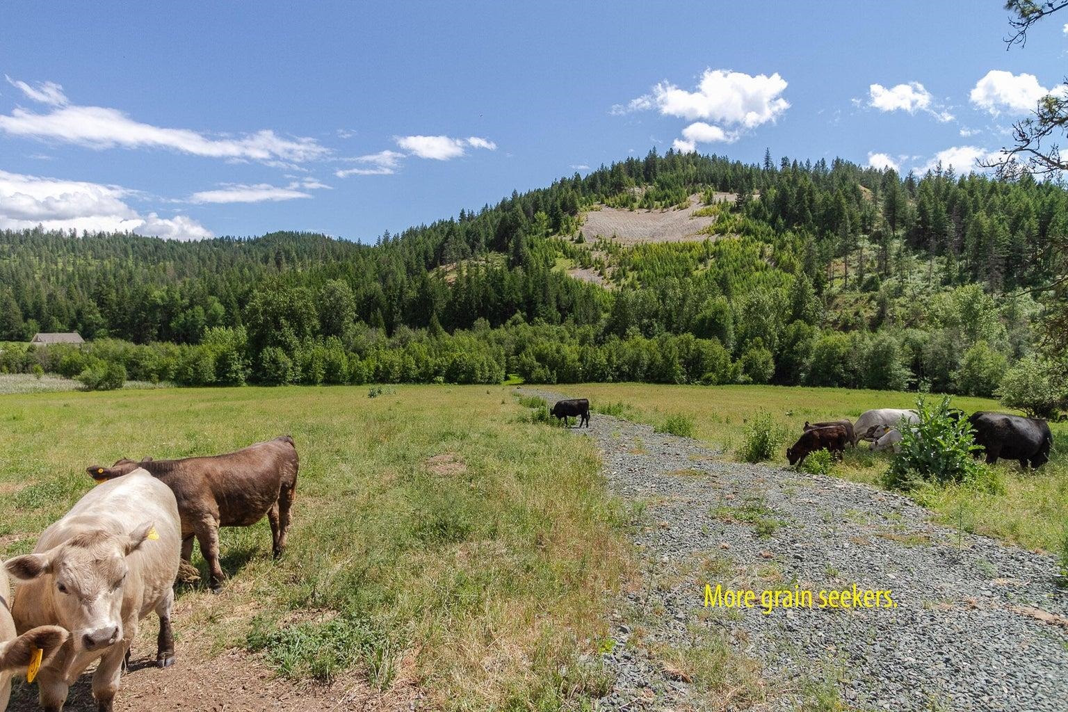 Photo 3 of 21 of 1800 Blk Immel Rd land