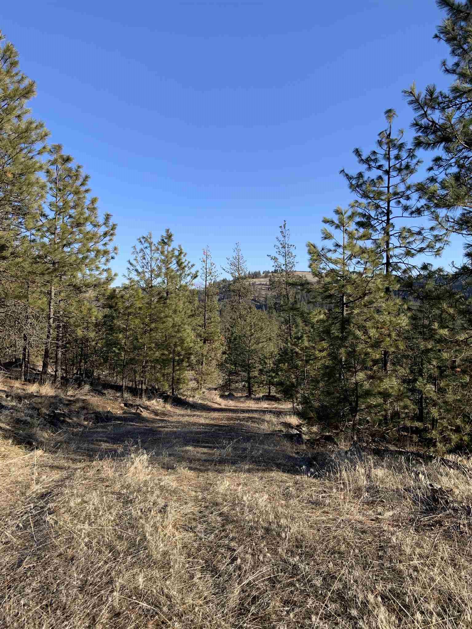 Photo 1 of 14 of Lot 1 Blue Jay Bob White Ln land