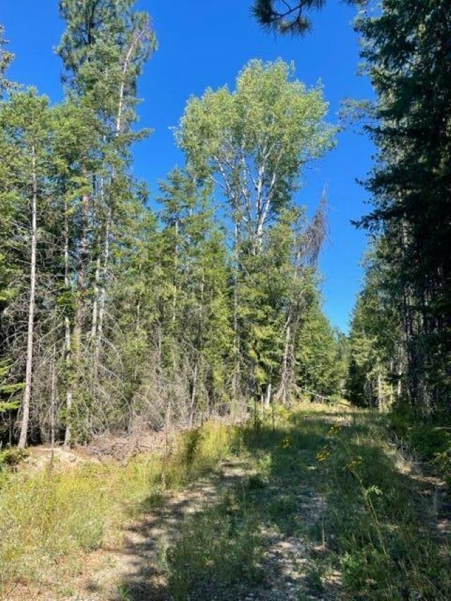 Photo 15 of 22 of TBD Lot 13 N Leclerc Rd land