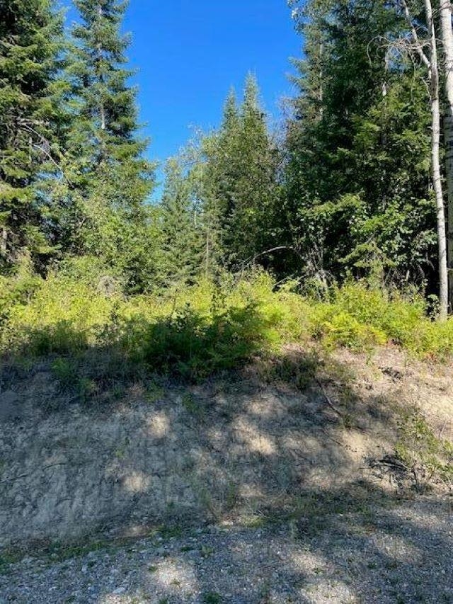 Photo 18 of 22 of TBD Lot 13 N Leclerc Rd land