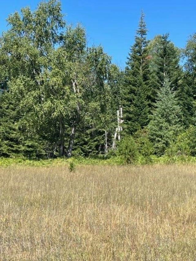 Photo 10 of 22 of TBD Lot 13 N Leclerc Rd land