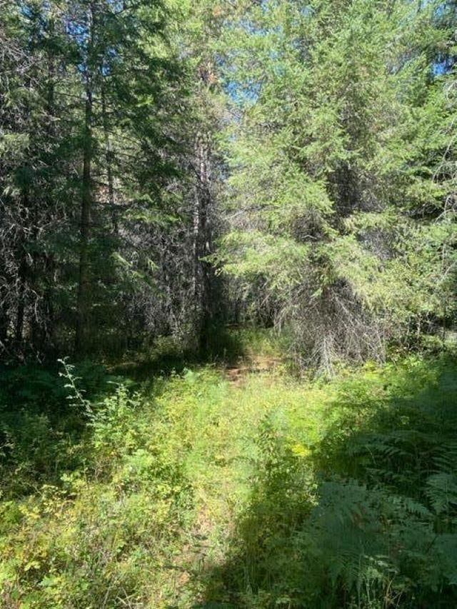 Photo 19 of 22 of TBD Lot 13 N Leclerc Rd land