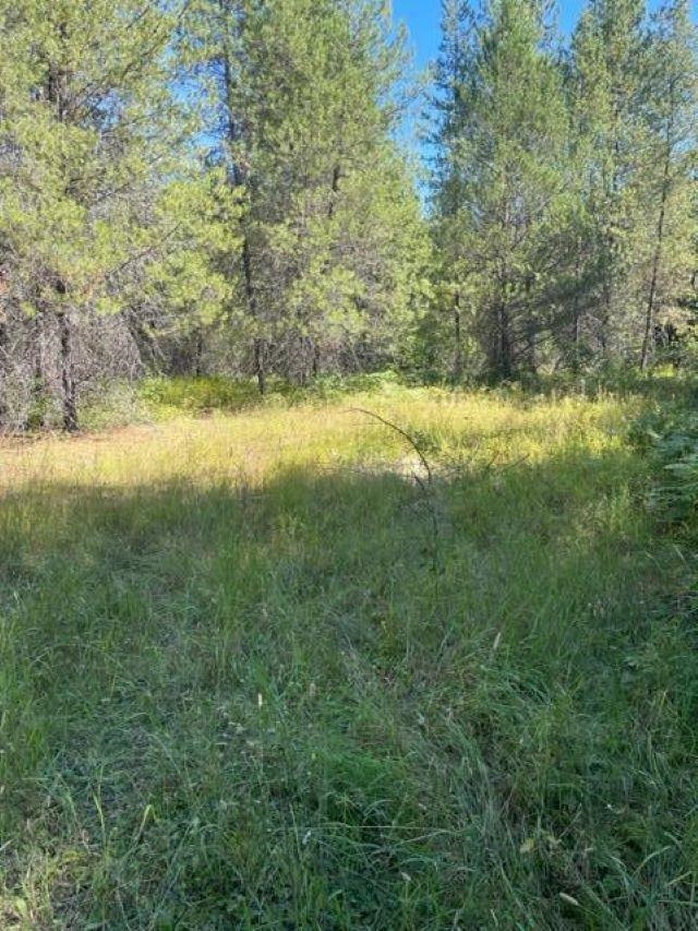 Photo 20 of 22 of TBD Lot 13 N Leclerc Rd land