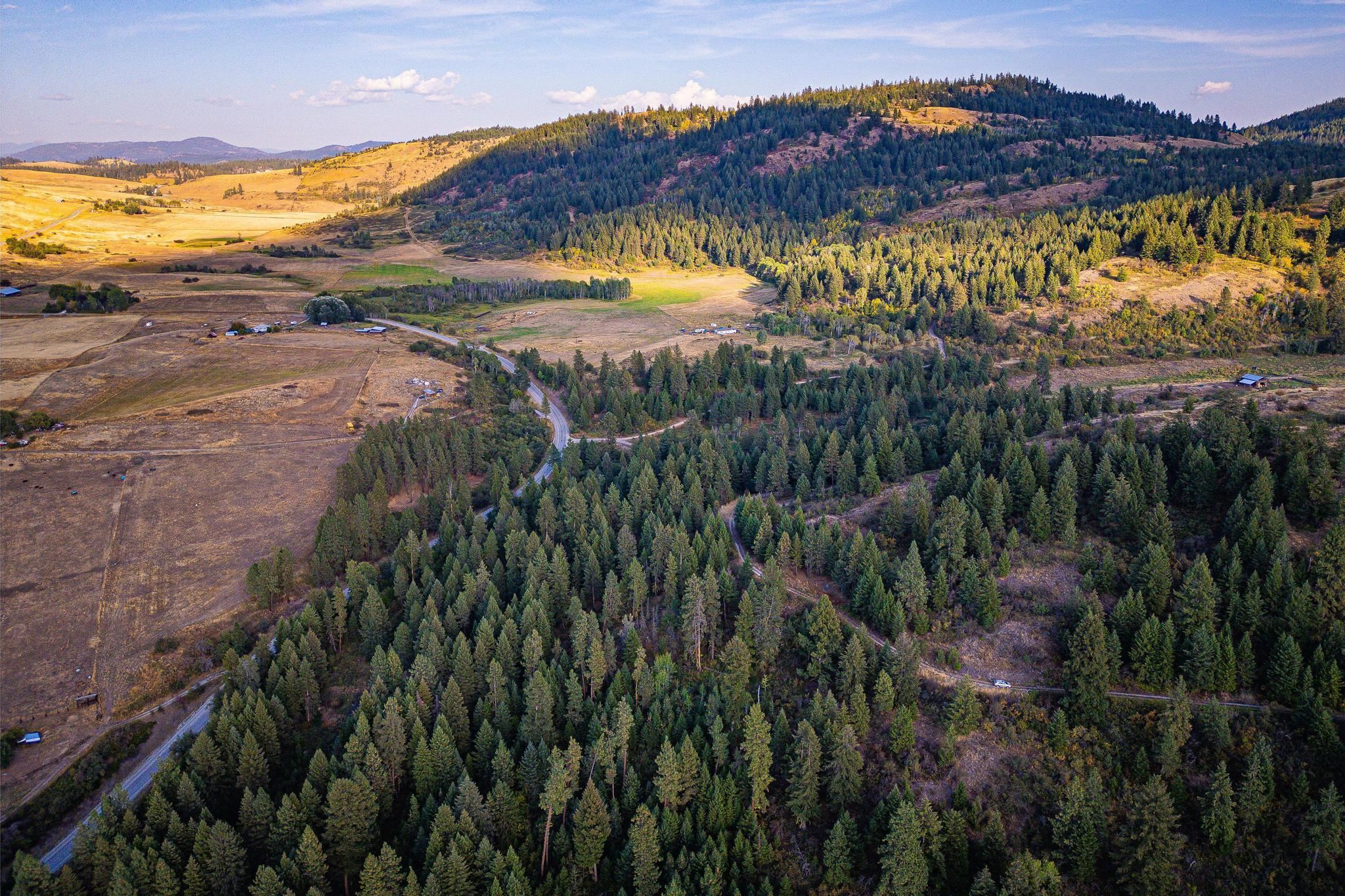 Photo 4 of 42 of 2584 B Bridgeman-Rettinger Rd land