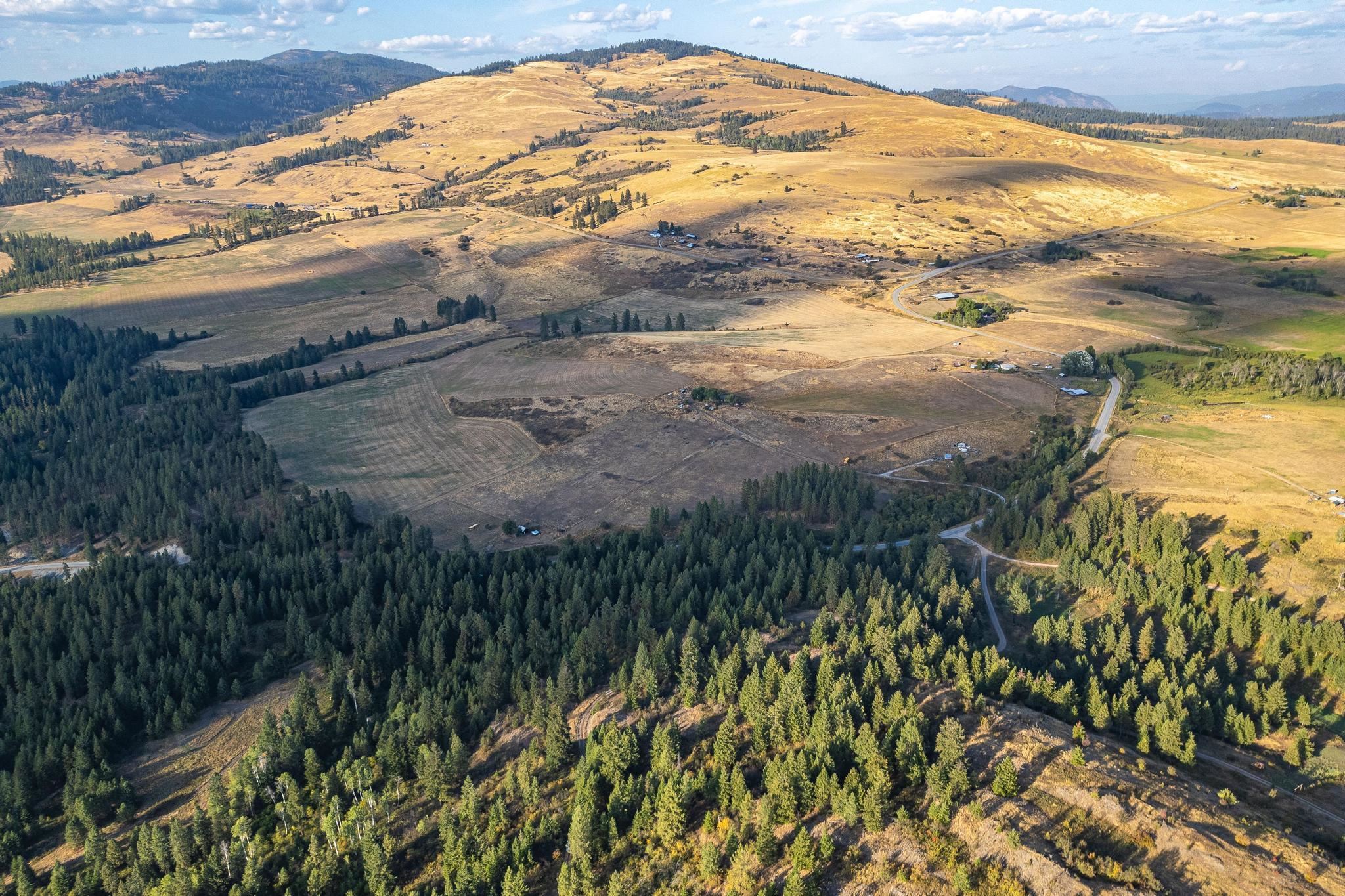 Photo 6 of 42 of 2584 B Bridgeman-Rettinger Rd land