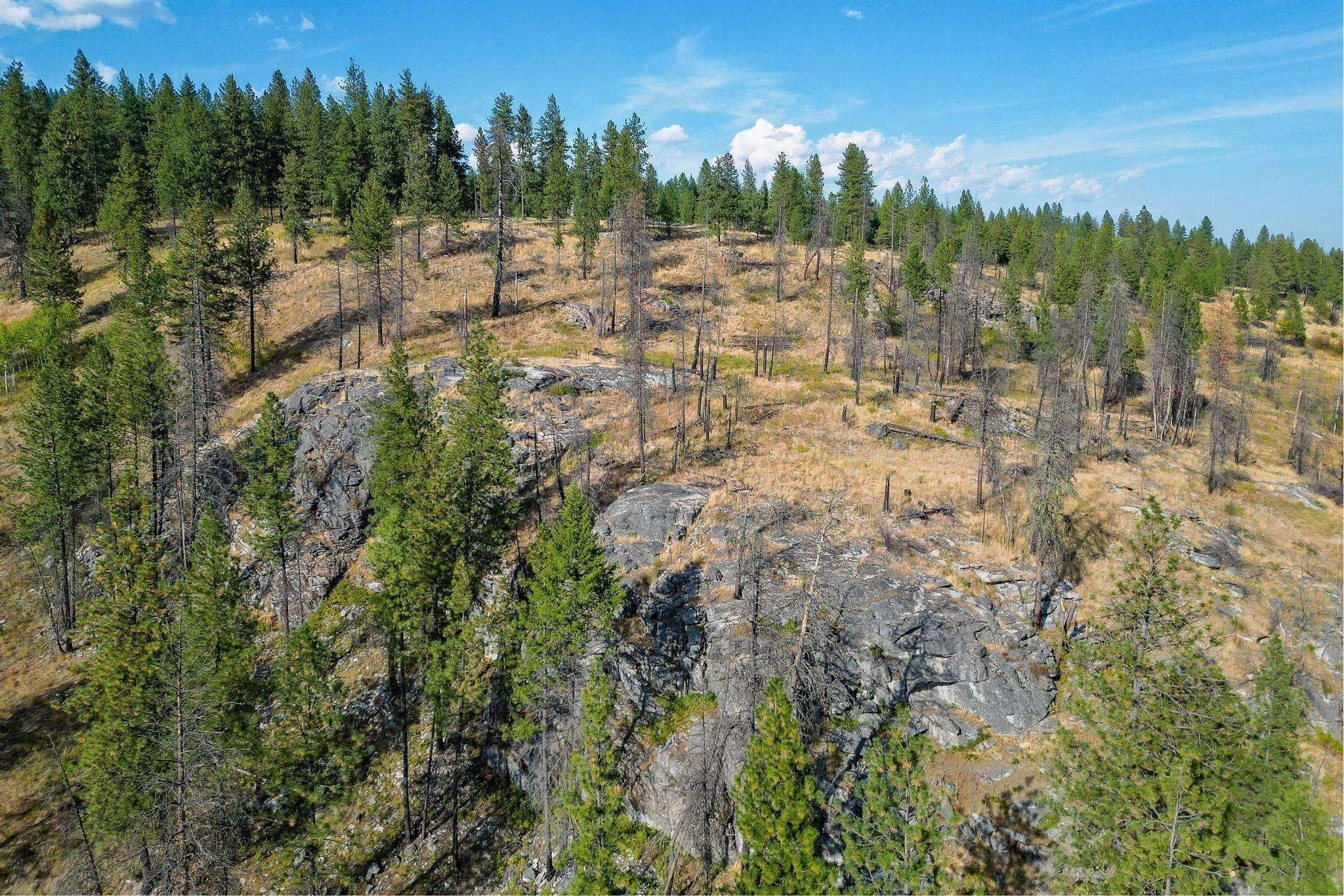 Photo 11 of 38 of 5X Jackknife Lookout Rd land