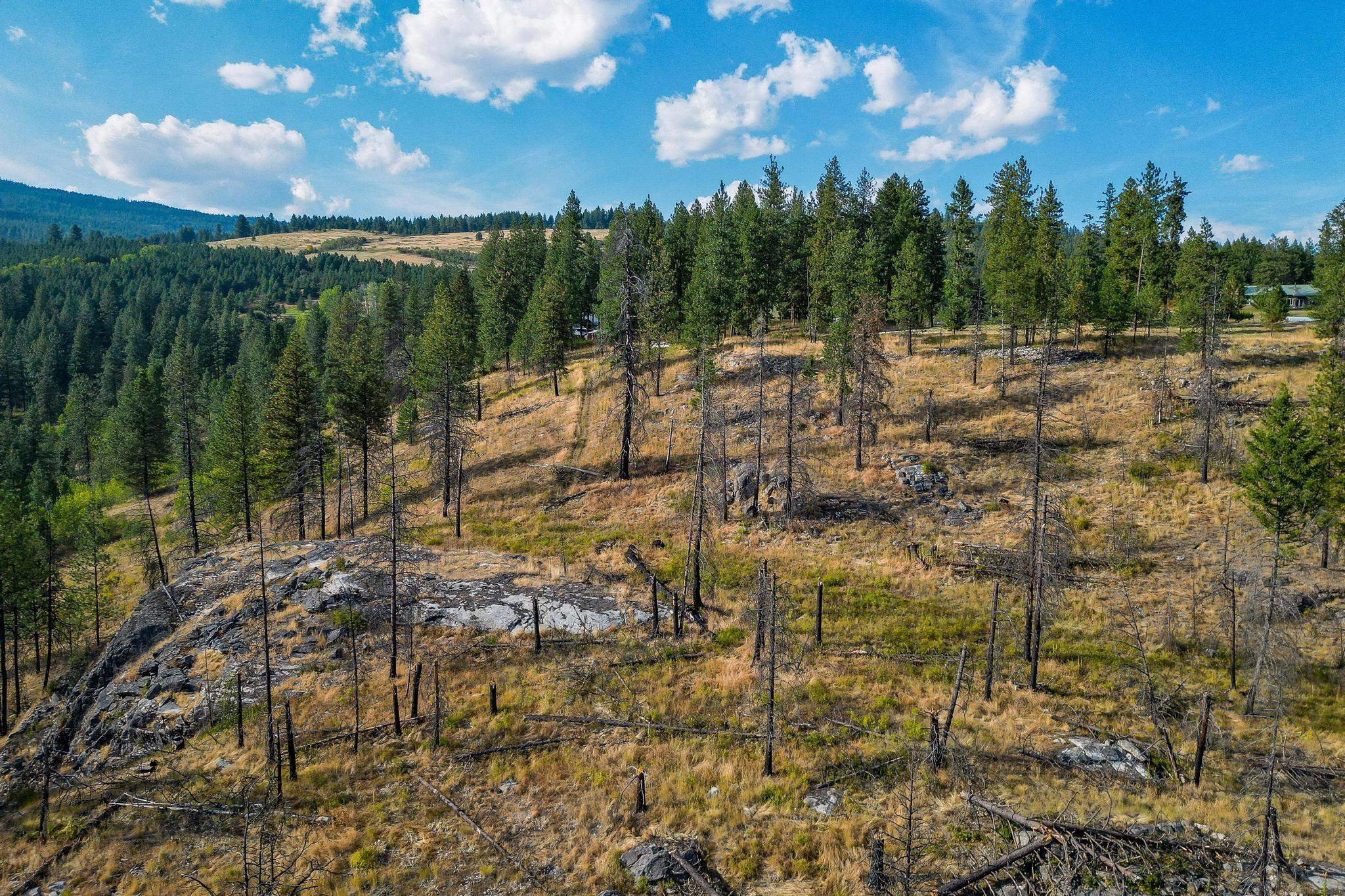 Photo 12 of 38 of 5X Jackknife Lookout Rd land