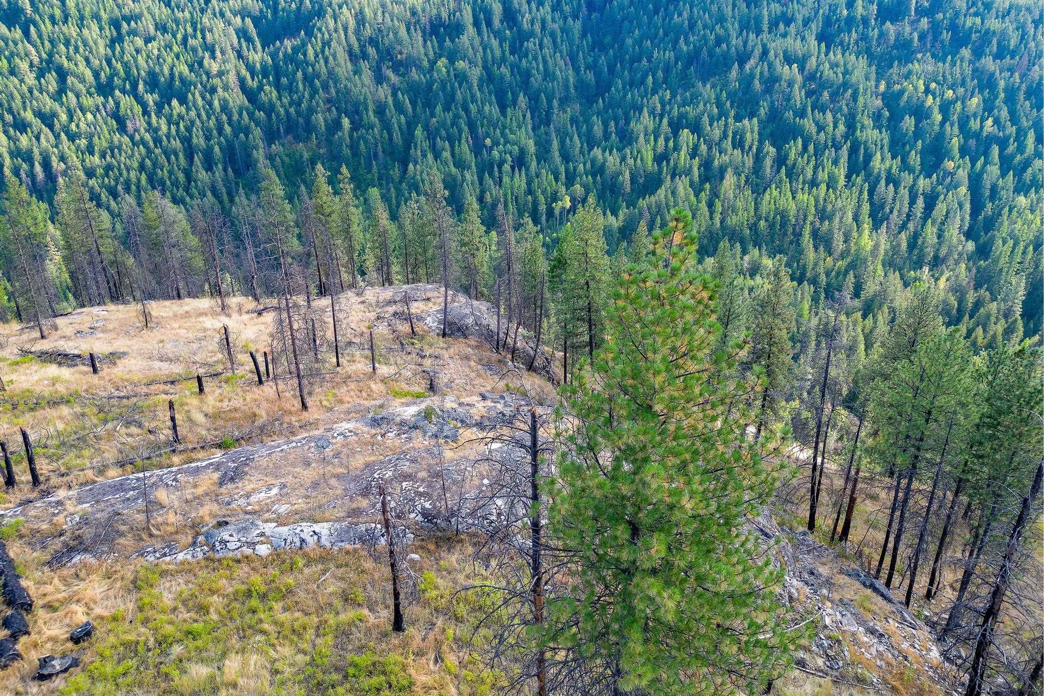 Photo 4 of 38 of 5X Jackknife Lookout Rd land