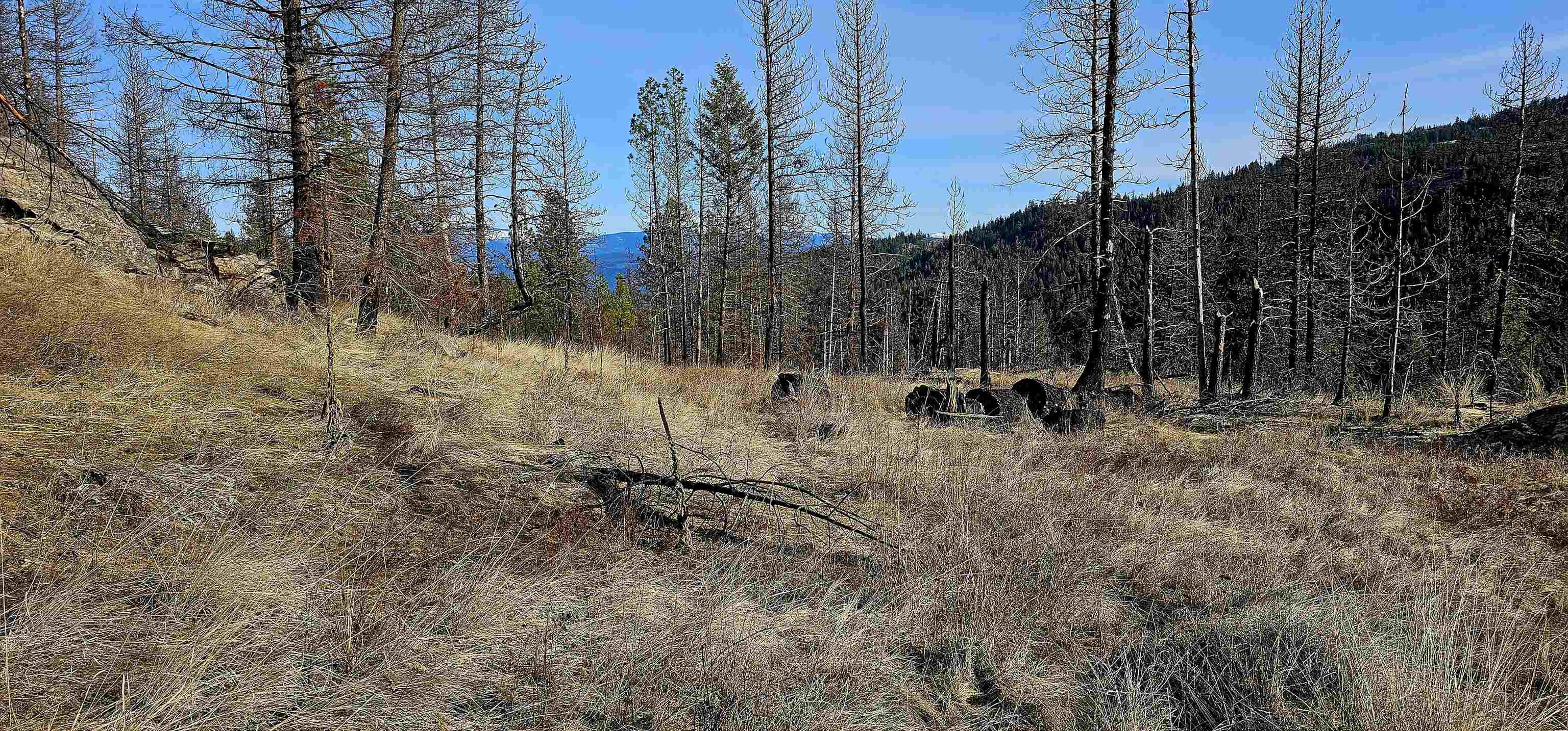 Photo 11 of 42 of 5X Jackknife Lookout Rd land