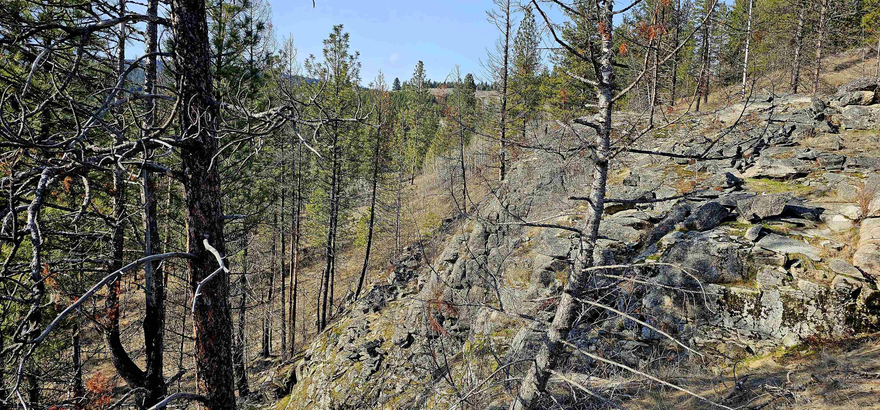 Photo 21 of 42 of 5X Jackknife Lookout Rd land