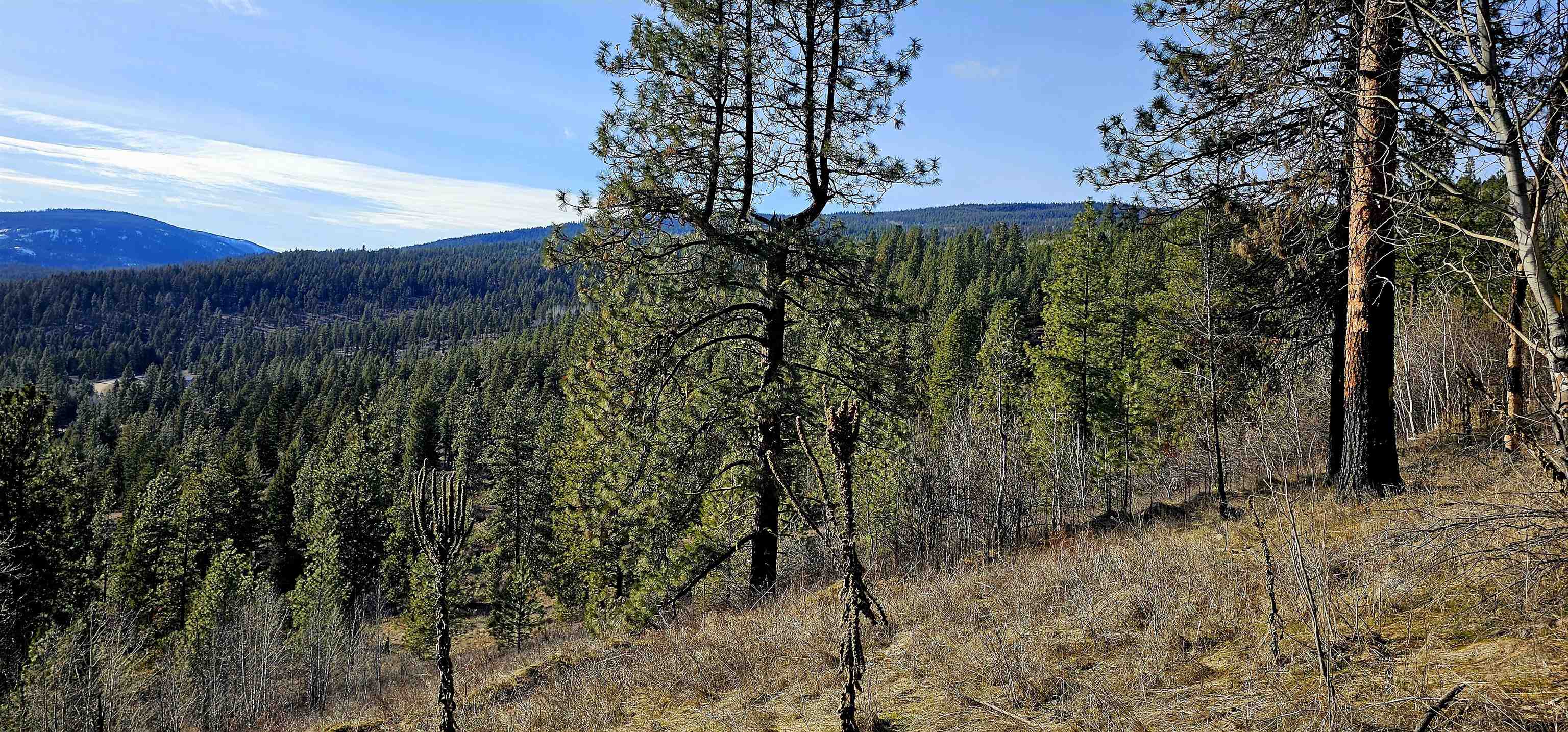 Photo 29 of 42 of 5X Jackknife Lookout Rd land