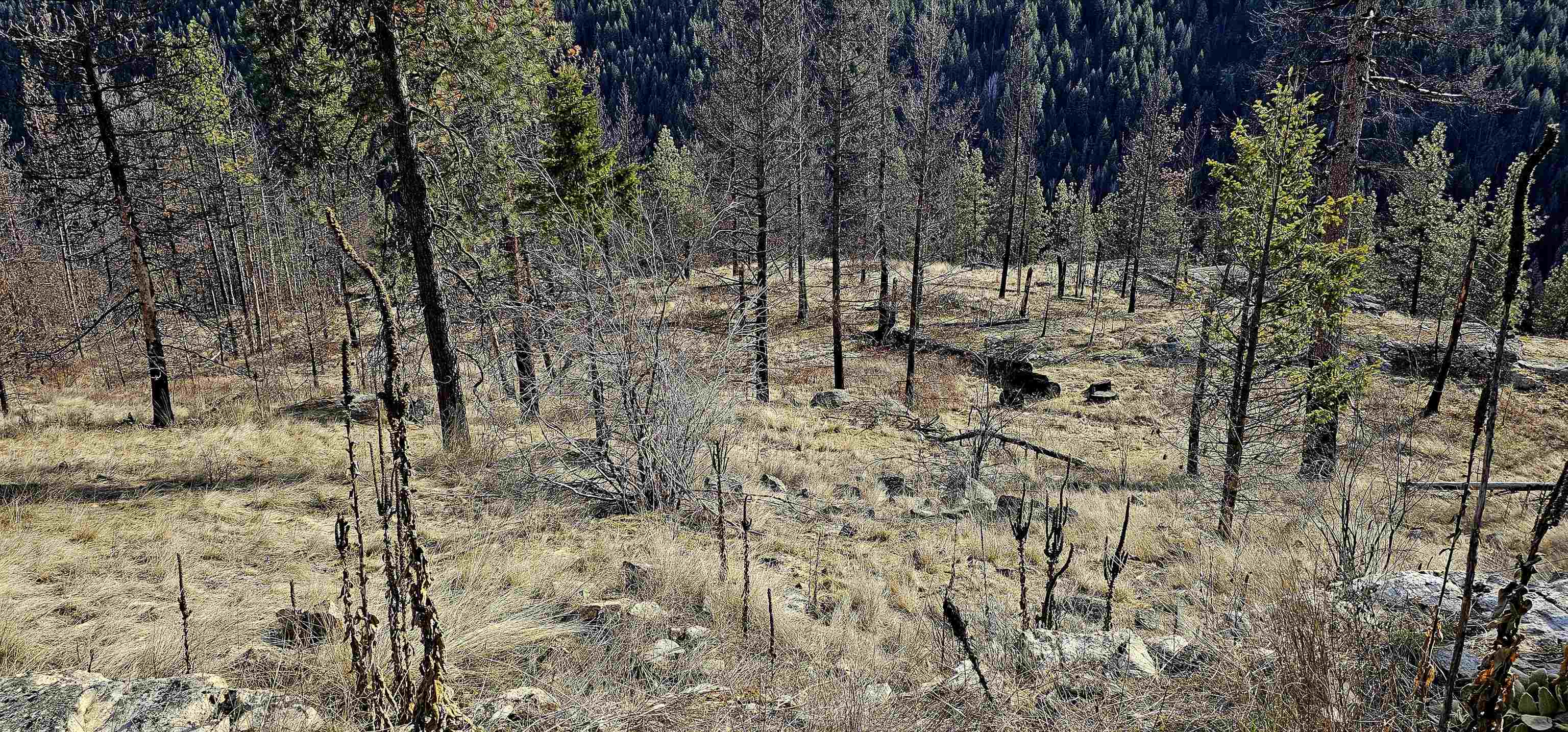 Photo 3 of 42 of 5X Jackknife Lookout Rd land