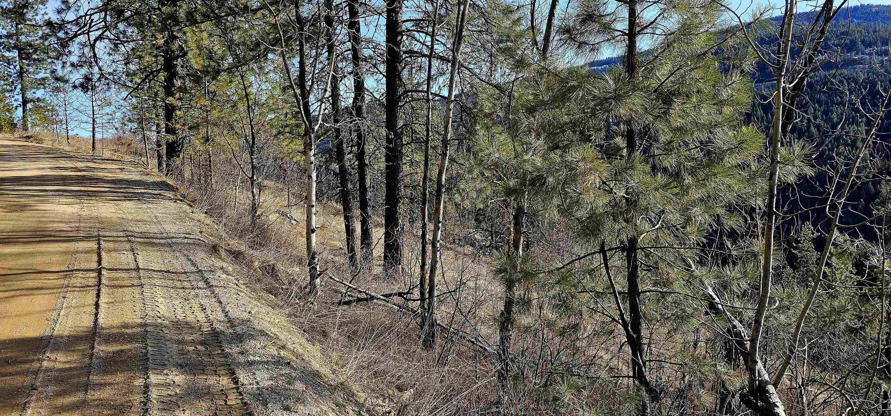 Photo 33 of 42 of 5X Jackknife Lookout Rd land