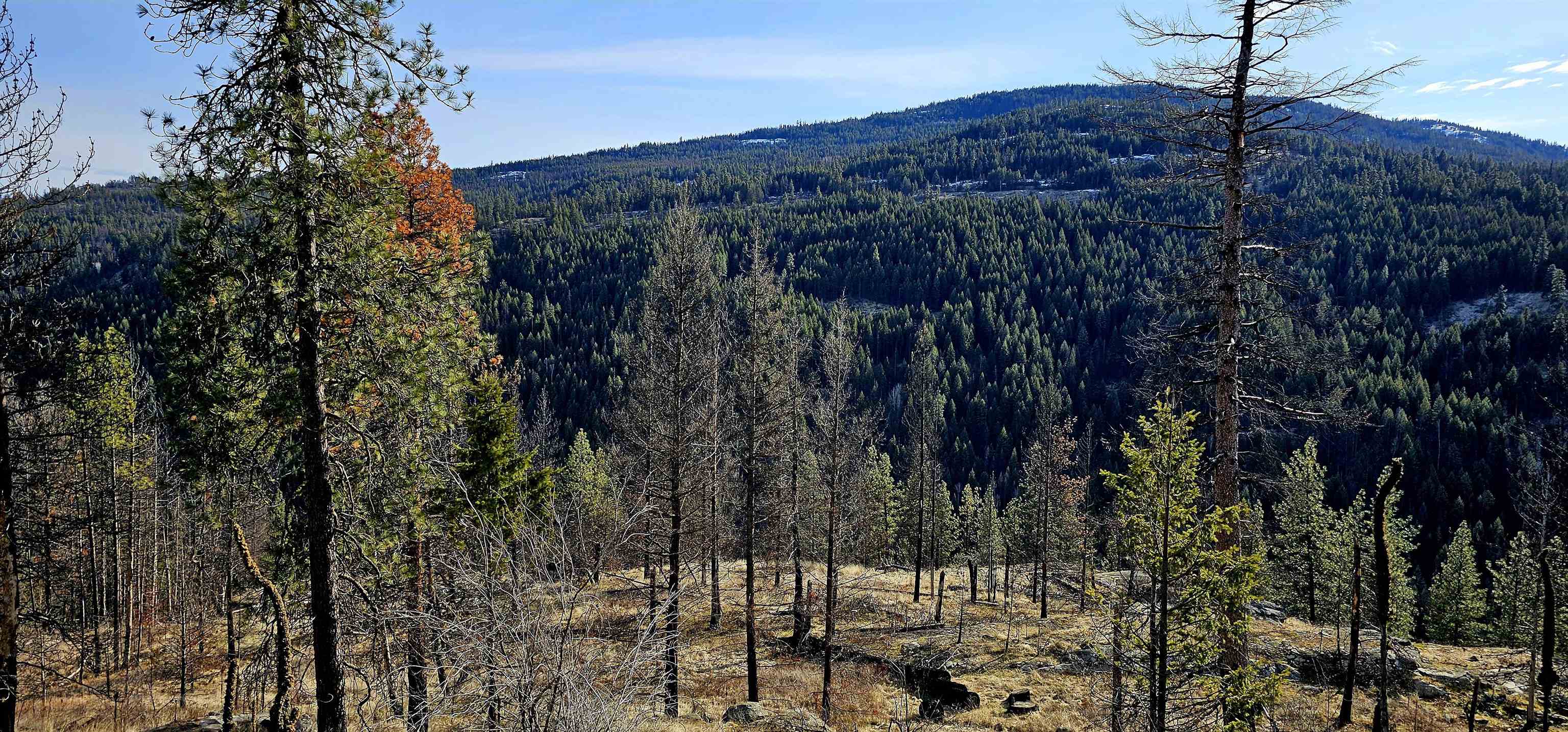 Photo 4 of 42 of 5X Jackknife Lookout Rd land