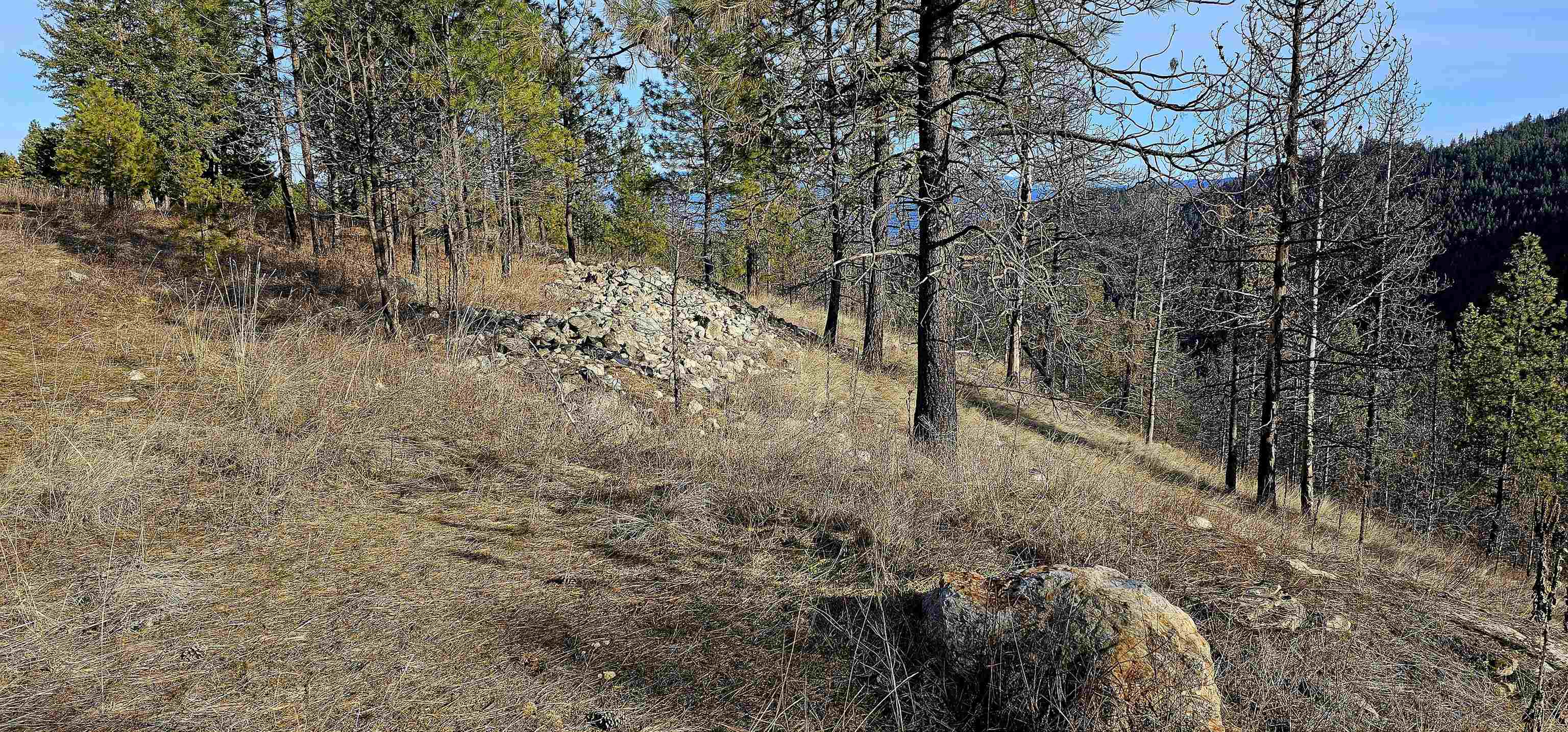 Photo 41 of 42 of 5X Jackknife Lookout Rd land