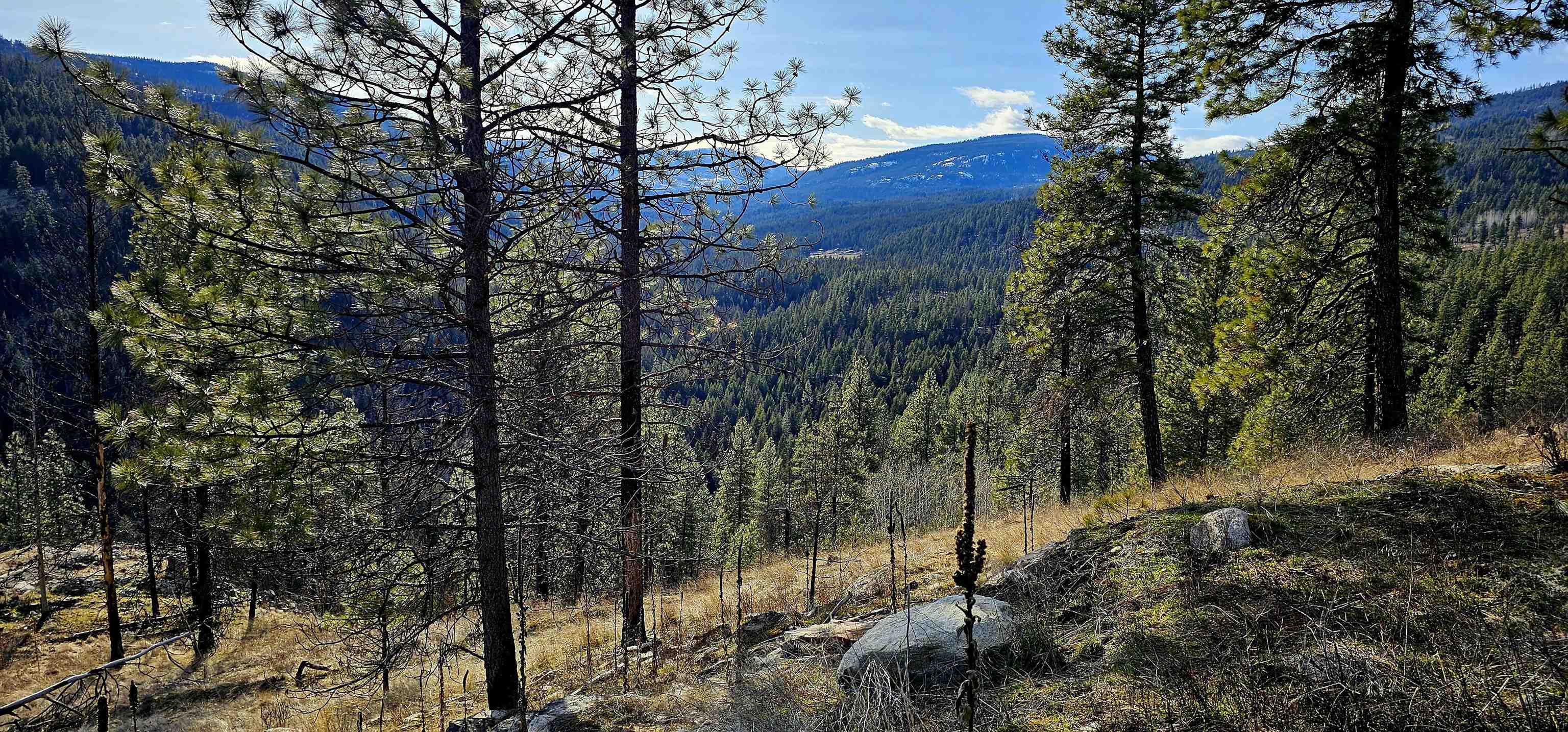 Photo 5 of 42 of 5X Jackknife Lookout Rd land