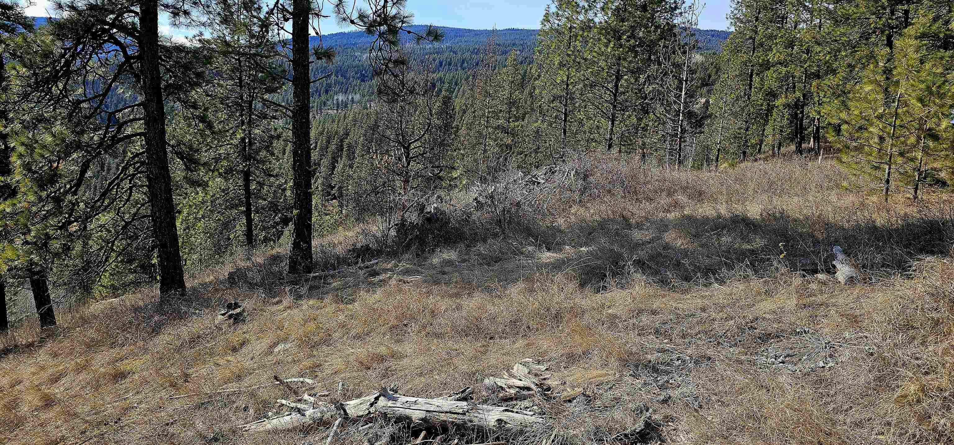 Photo 6 of 42 of 5X Jackknife Lookout Rd land