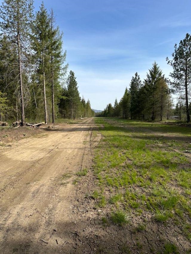 Photo 3 of 31 of 4026 Black Pine Way land